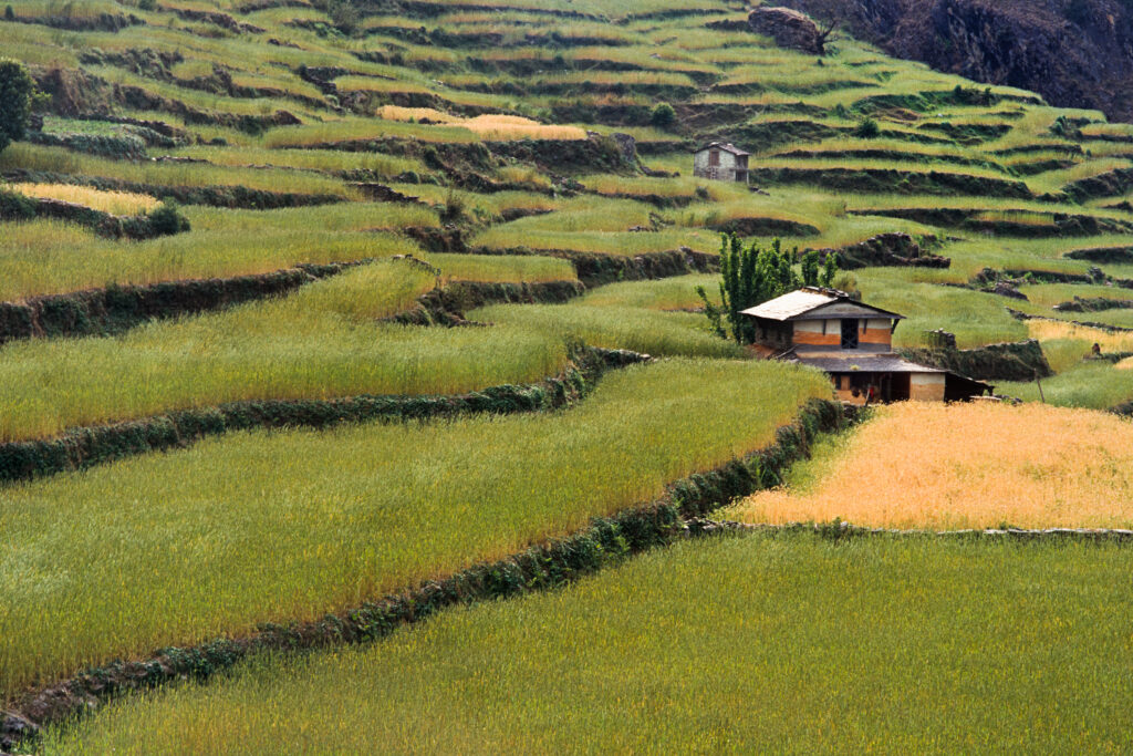 Frédéric Lecloux, Près de Darbang, district de Myaggdi, Népal, 1996